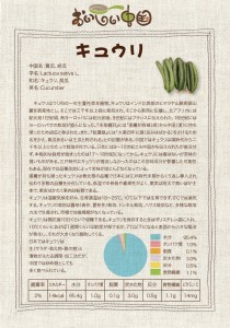 きゅうりの栄養